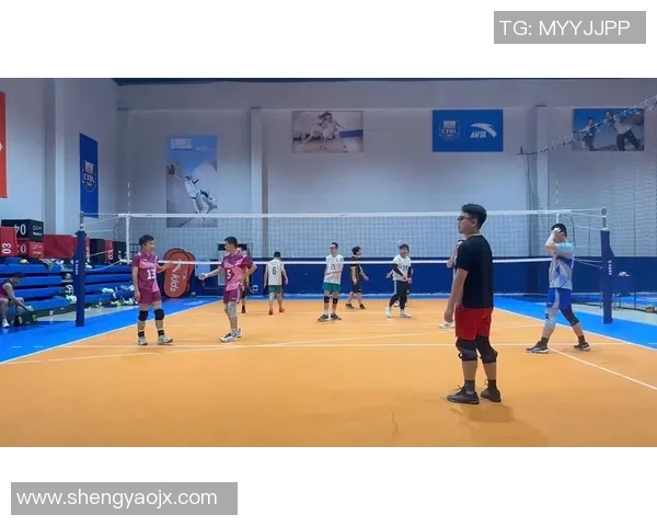 重庆排球队意识争议引发热议球迷看法各异引发讨论